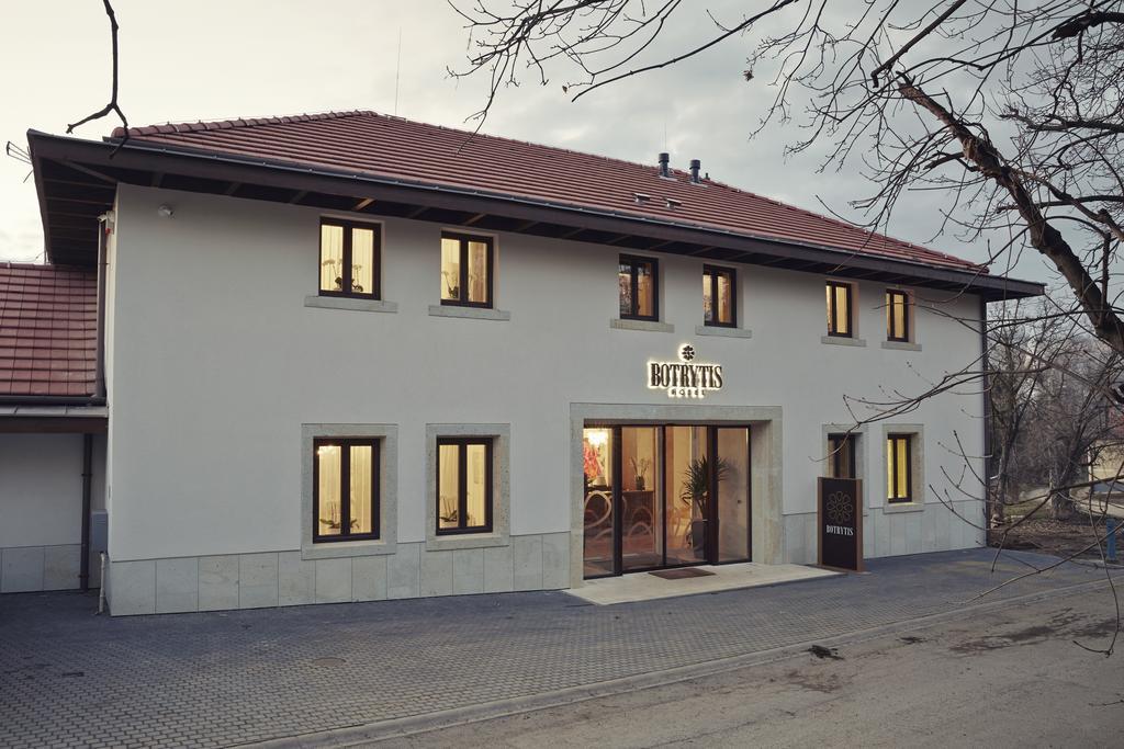 Botrytis Borhotel Mád Værelse billede
